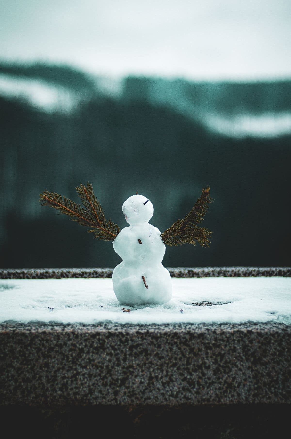 First Snow Together