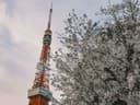 Visited Tokyo